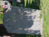 image of grave number 833521